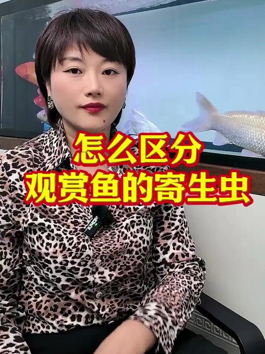 怎么区分观赏鱼的寄生虫