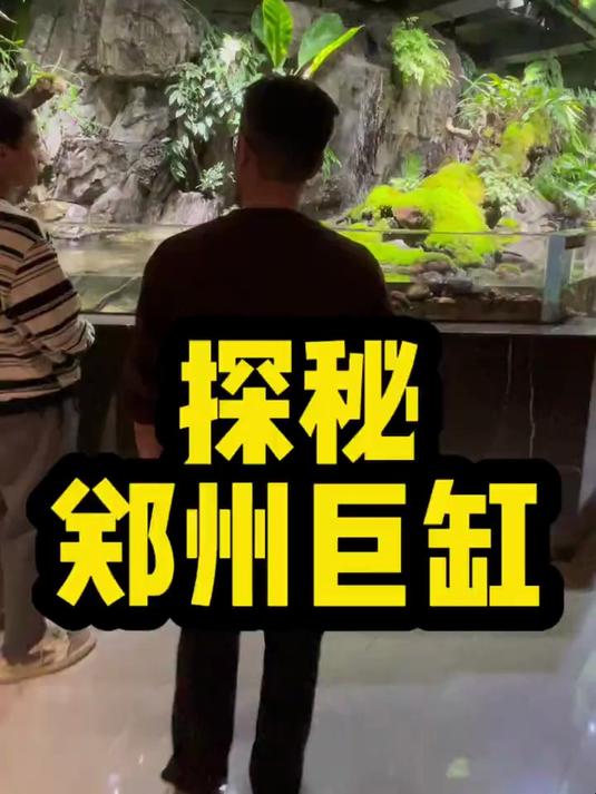 一个饭店里有几十个鱼缸!让我叹为观止!