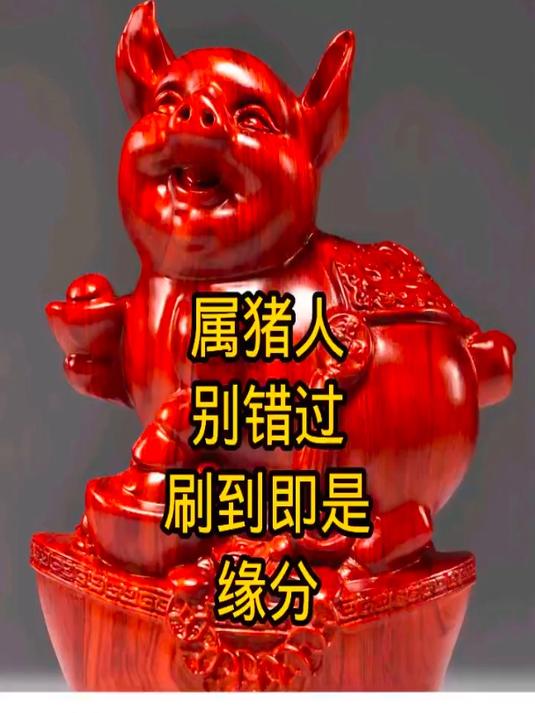 生肖猪的人