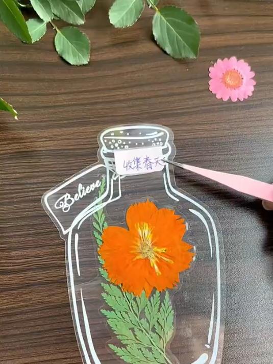 瓶子里的春天儿童手工DIY透明贴纸自制干花植物标本玻璃瓶书签