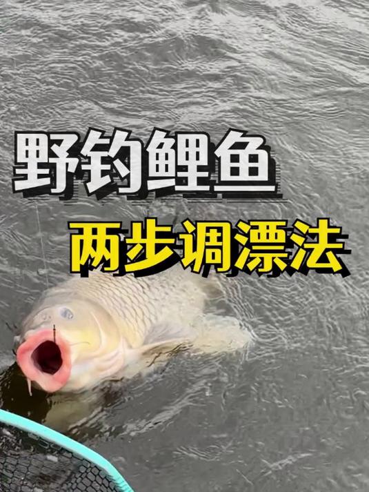 挂玉米野钓大鲤鱼，最好用，最简单的两步调漂方法！