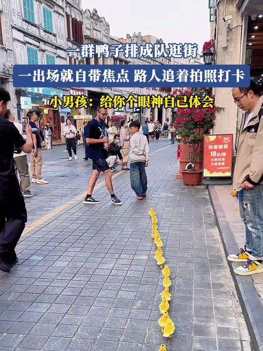 一群鸭子排成队逛街，一出场就自带焦点，路人追着拍照打卡