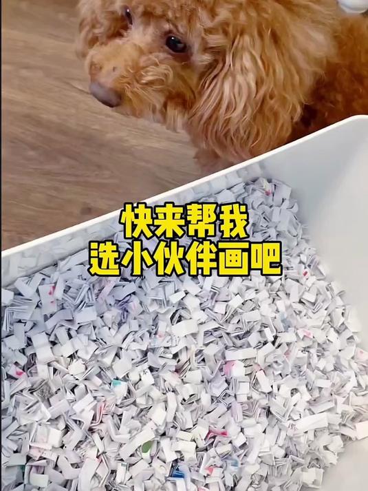 快来找你们的手绘漫画头像吧！