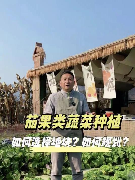 茄果类蔬菜种植 地块该如何选择？种植该如何规划？#家庭小菜园#