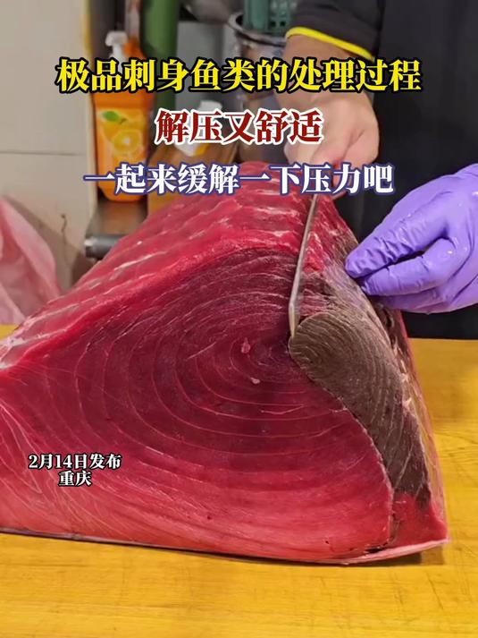 极品刺身鱼类的处理过程,解压又舒适,一起来缓解一下压力吧