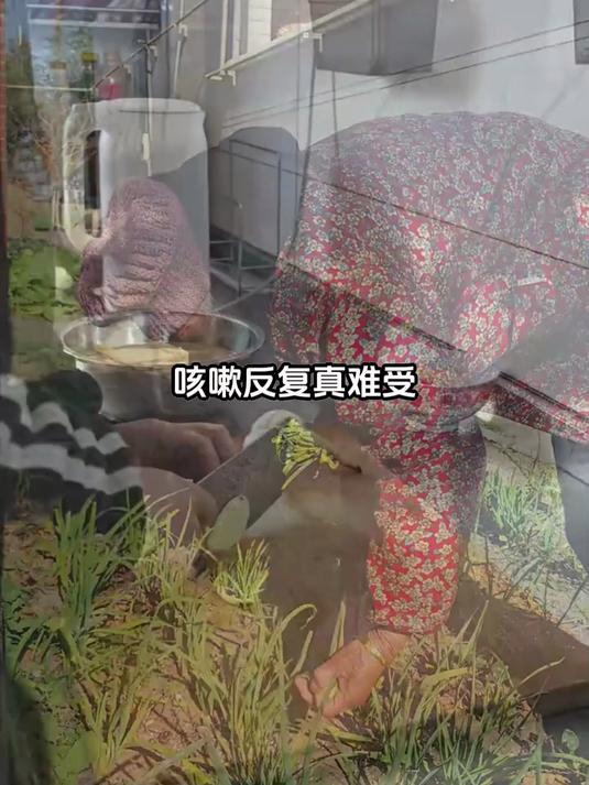 吃腻了红烧肉?换成茨菇炒肉片,养生又解馋