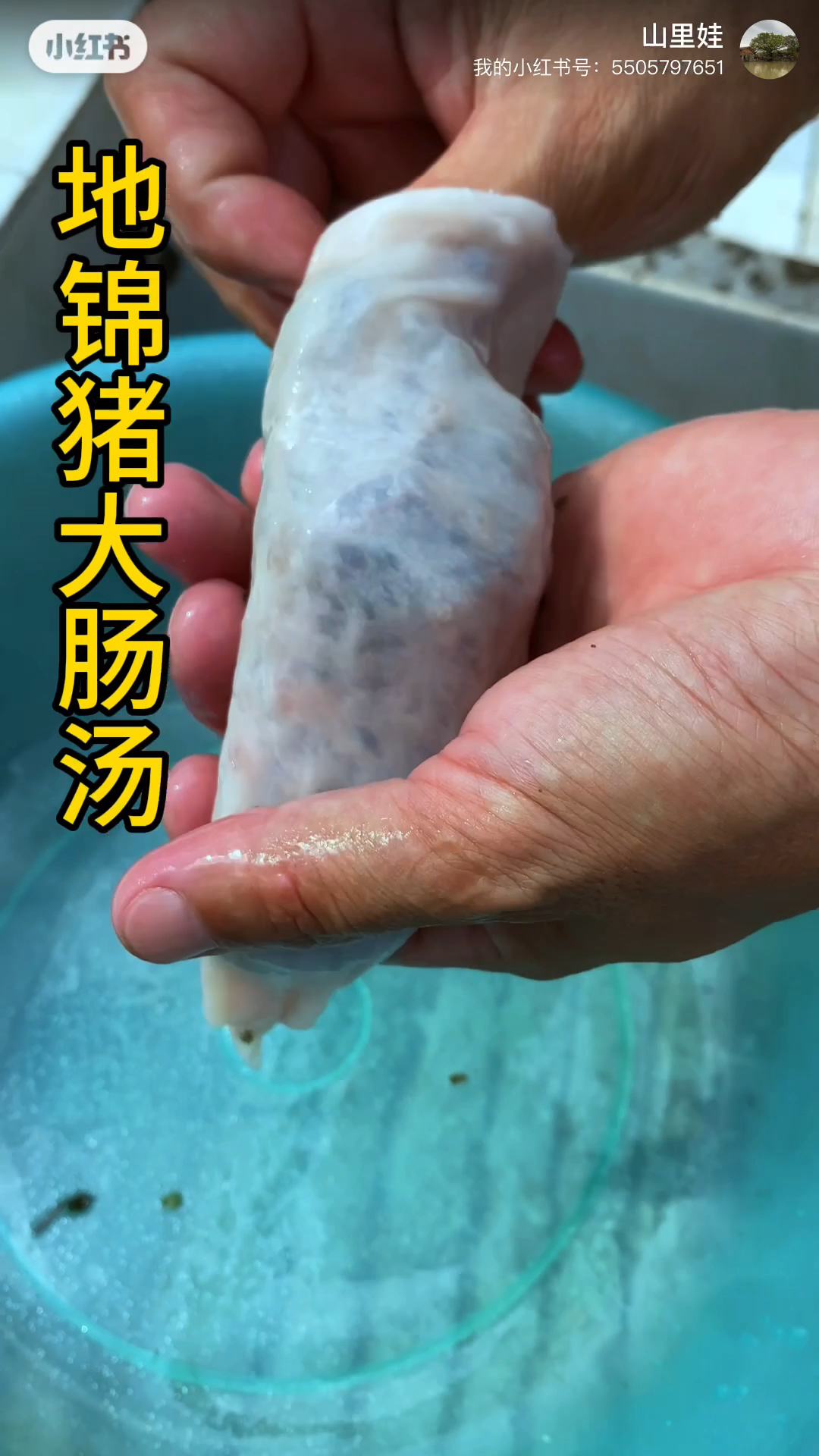 地锦草猪大肠汤,女性朋友可学会了