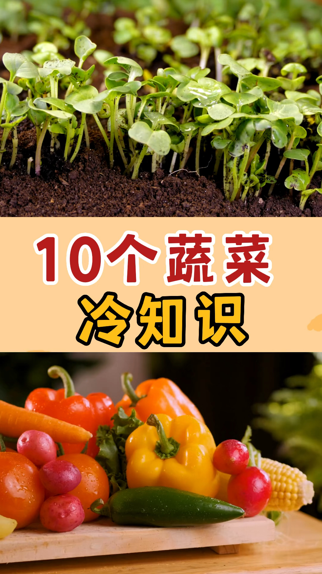 10个蔬菜冷知识,了解一下