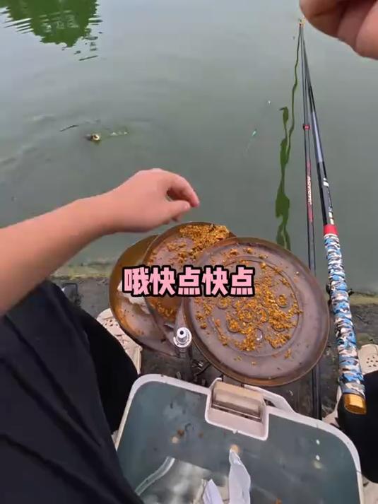 爸爸去池塘钓鱼带着儿子一起,儿子用儿童钓鱼竿竟比自己还先上鱼