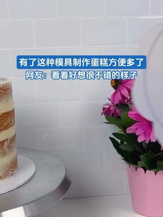 有了这种模具制作蛋糕方便多了