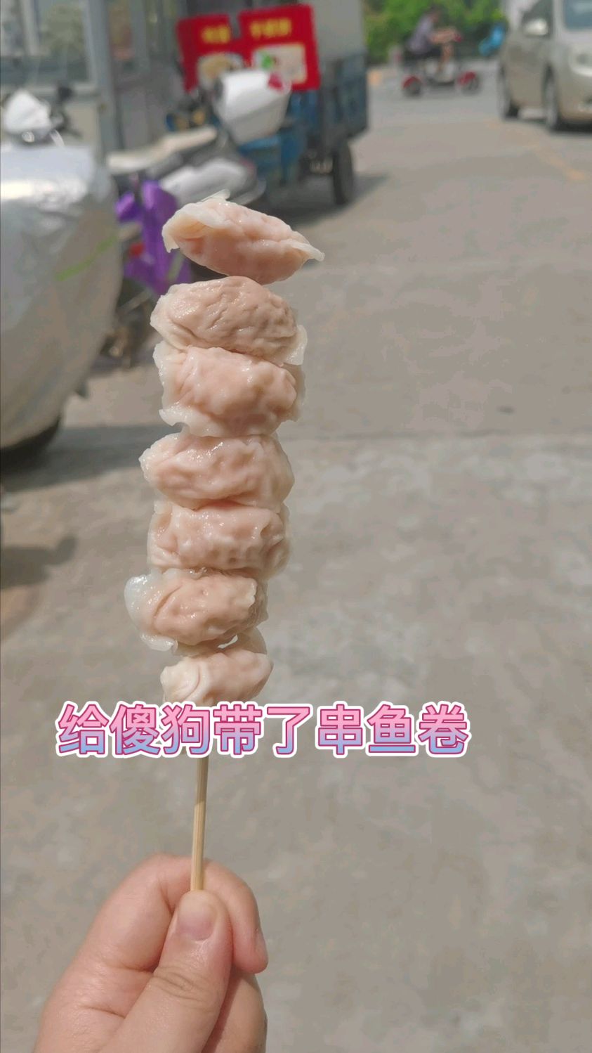 给狗子带了鱼卷