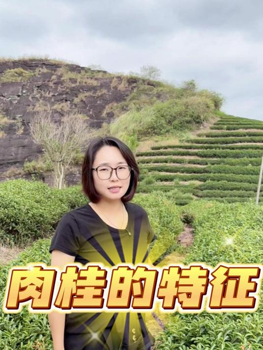 肉桂的特征#茶叶##喝茶##武夷岩茶##大红袍##乌龙茶#