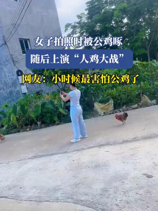 女子拍照时被公鸡啄,随后上演“人鸡大战”