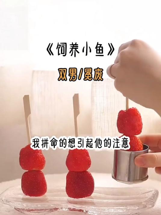 美人鱼?还是人造的?