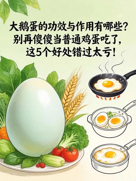 大鹅蛋的功效与作用有哪些?别再傻傻当普通鸡蛋吃了,这5个好处错过太亏!
