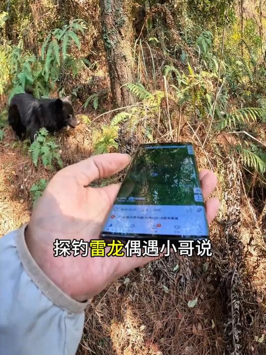 渗人的鲜蓝色会是什么鱼 探钓雷龙