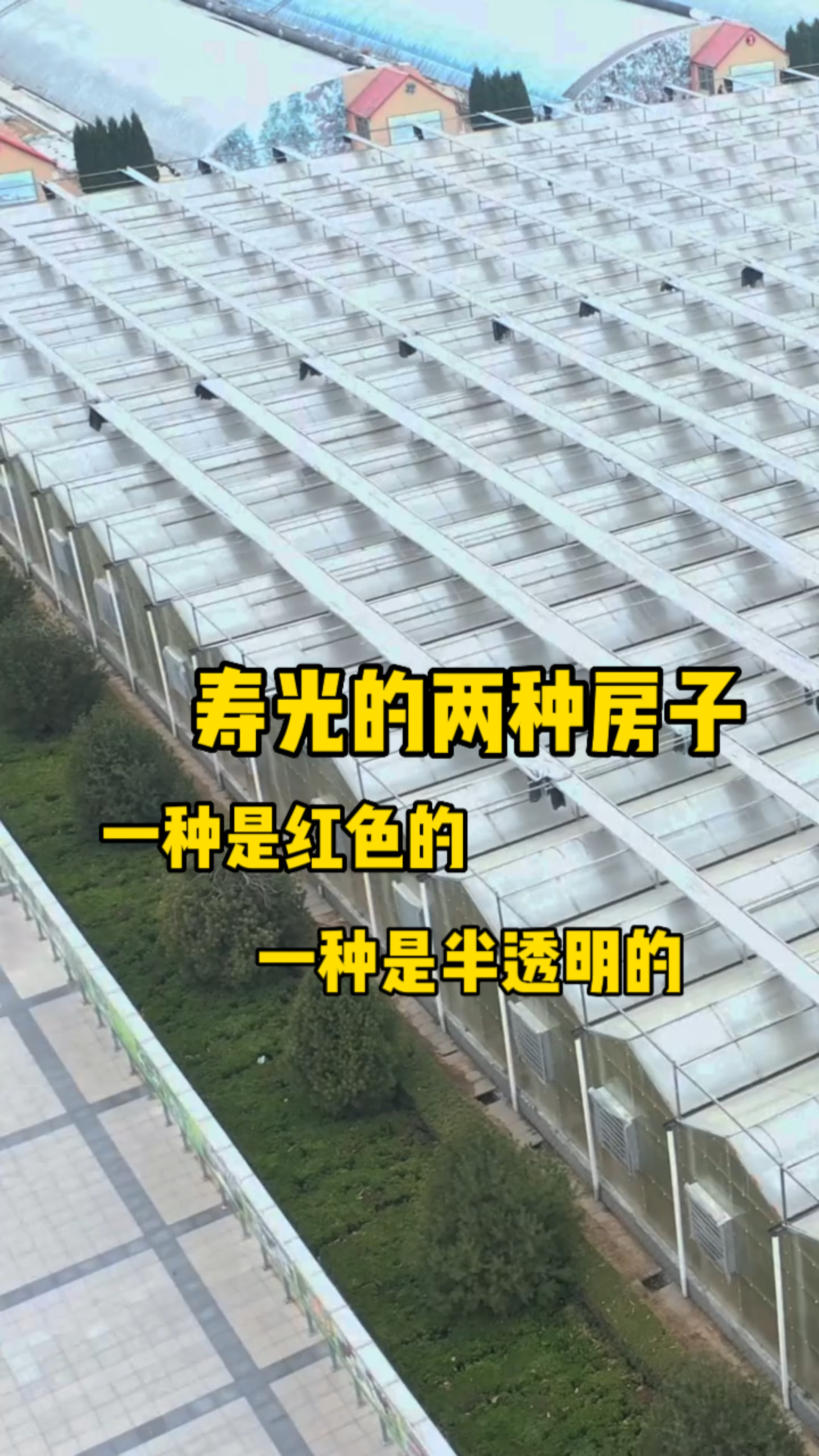 寿光可是有两种房子,一种是人住的,一种是蔬菜住的,这就是中国蔬菜之乡