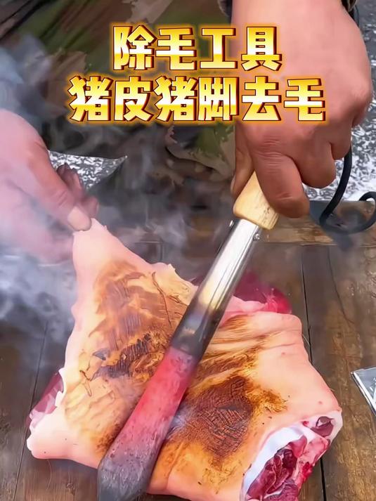 除毛工具猪皮猪脚去毛小型烧肉器电烙铁#好物推荐##厨房好物分享##好物推荐#
