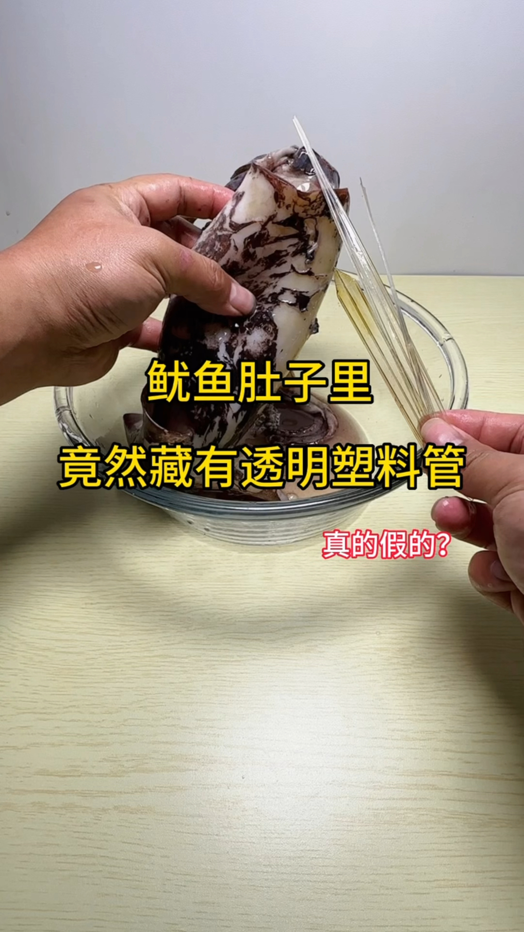 鱿鱼肚子里,竟然藏有透明塑料管
