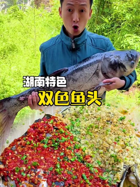 用一条20斤的雄鱼,做一道湖南特色菜双色鱼头会是有样的体验呢?