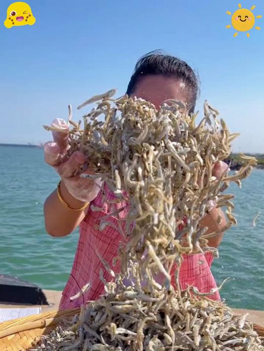 野生海燕鱼干天然海产美味营养干货