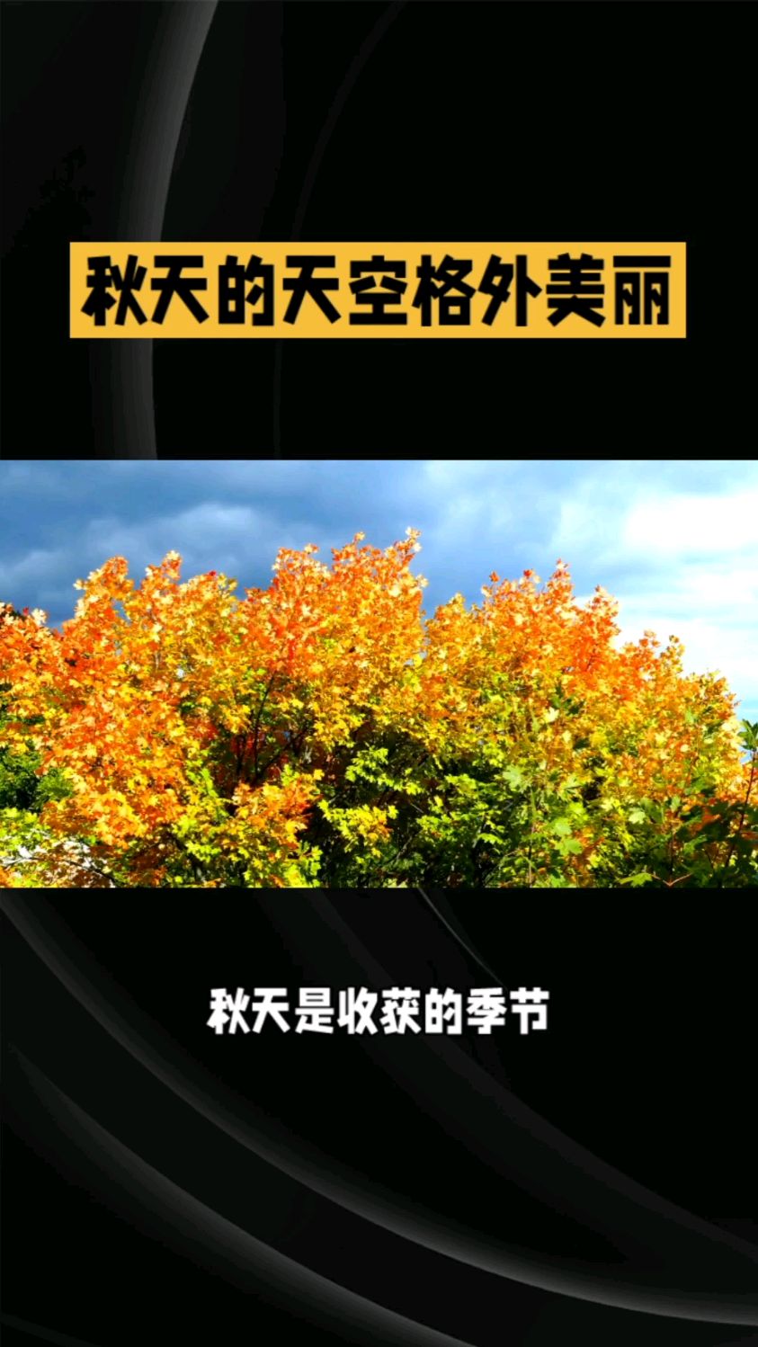 秋天的天空格外美丽