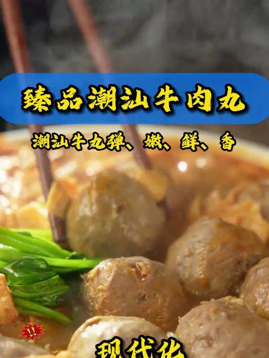 臻品潮汕牛肉丸,我们以科技赋能传统,生产线实拍,给您展现大型