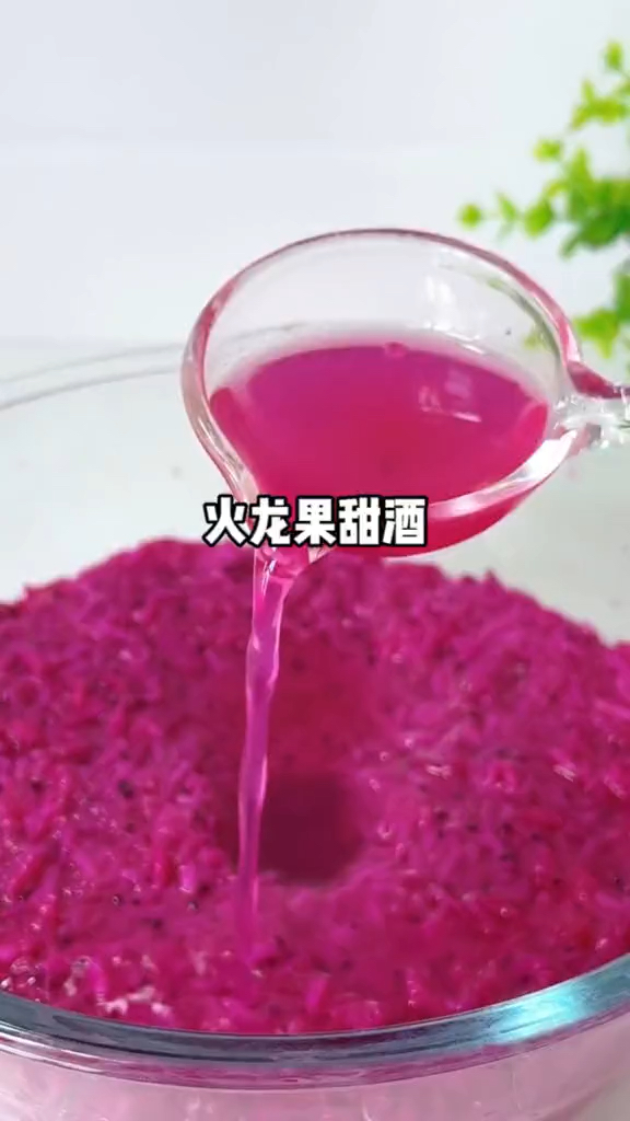 火龙果酒酿!