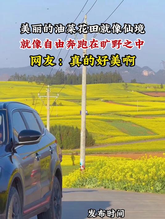 美丽的油菜花田就像仙境,就像自由奔跑在旷野之中