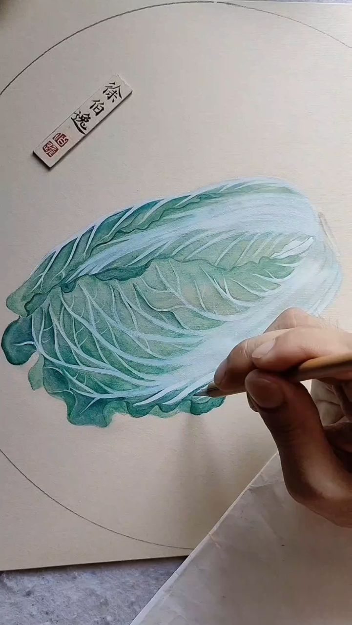 画一颗大白菜