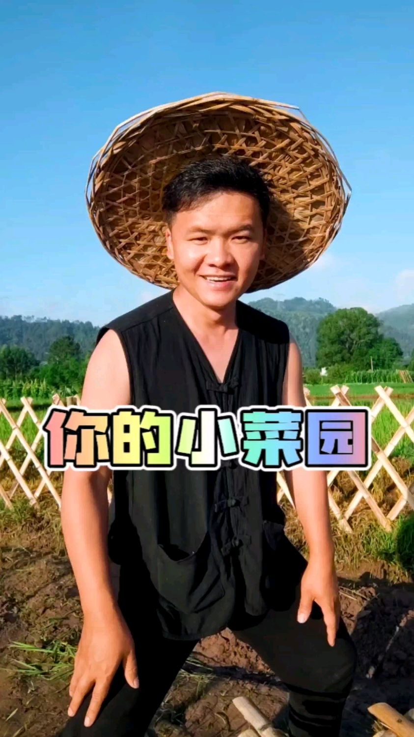 菜园不大,你想种点啥