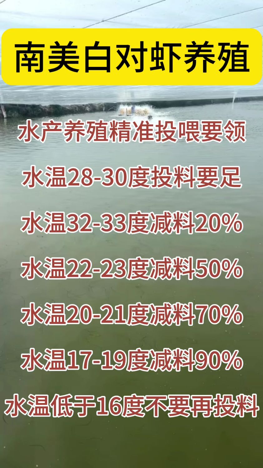 南美白对虾养殖
