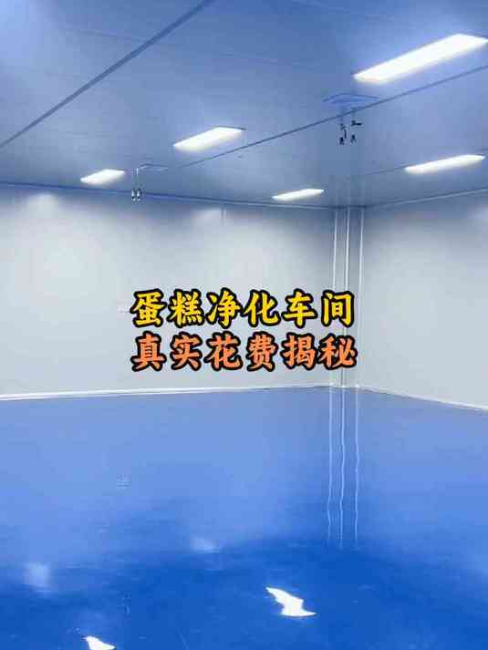 蛋糕净化车间真实花费揭秘
