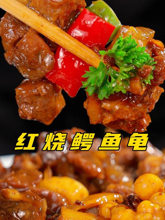 鳄鱼龟，比甲鱼好吃！性情凶猛肉质滑嫩！QQ弹弹人间美食！