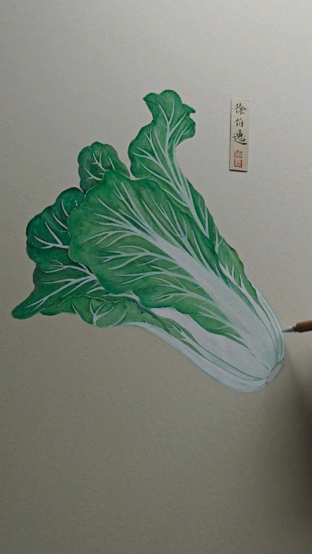 画一棵翠绿色的大白菜。