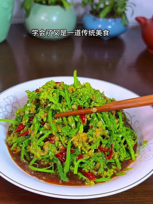 阳春三月美丽的油菜花绽放得更加美丽