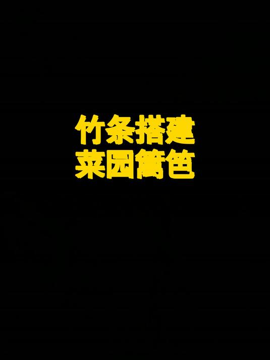 竹条搭建菜园篱笆