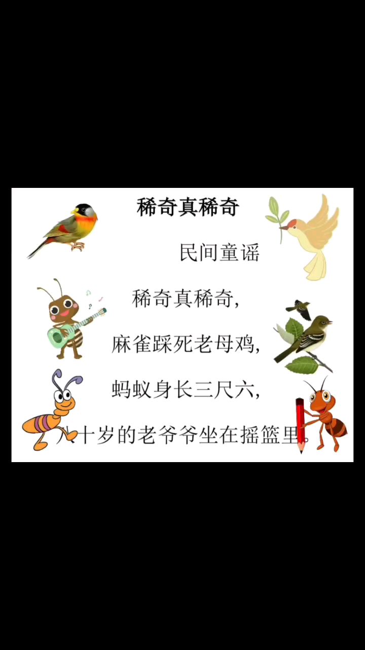 麻雀踩死老母鸡! 童谣《稀奇真稀奇》陪孩子日有所诵!