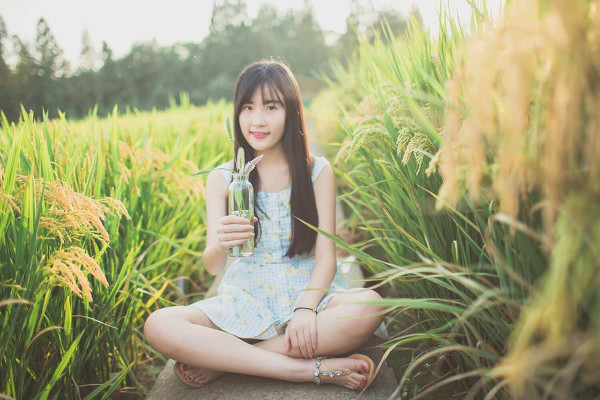 图片[6]-秋稻香-六色网