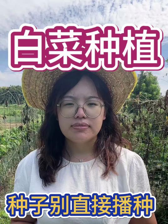 种子处理有讲究！这样种白菜出苗快又壮