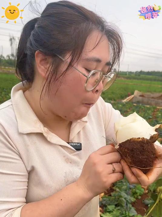凉薯水分堪比梨长在土里的水果蔬菜也叫地瓜小时候喜欢吃