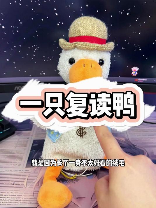 因为它是一只复读鸭