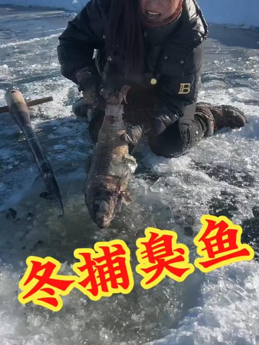 冬捕 捕臭鱼的场面你们见过吗