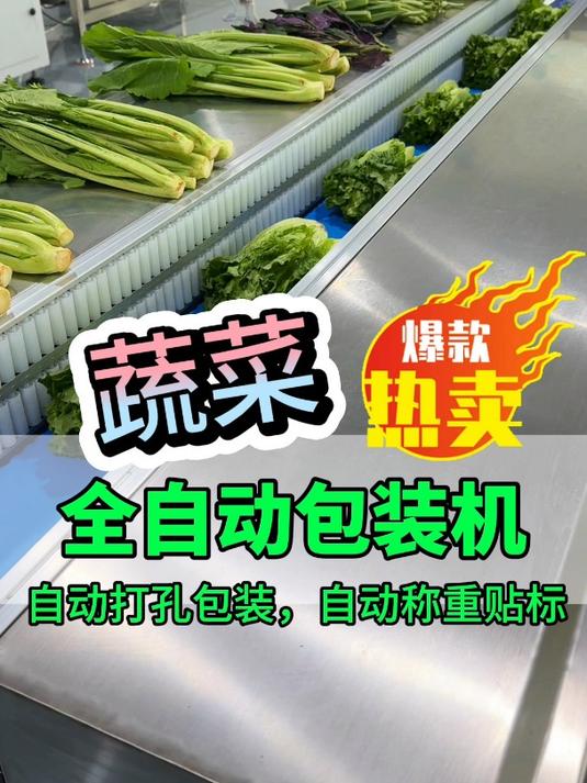 蔬菜包装用那一款,全自动蔬菜包装机 蔬菜打包机