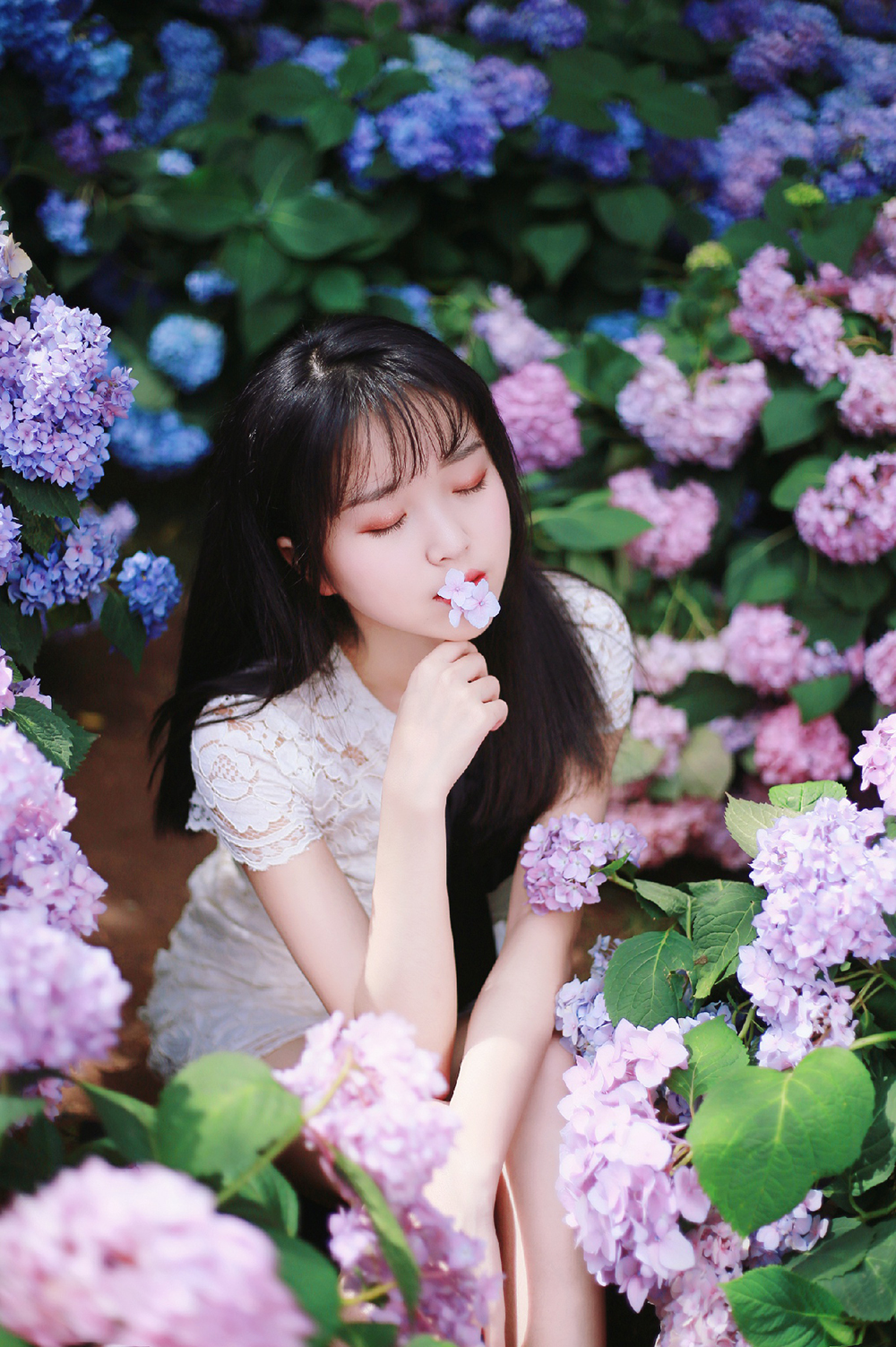 图片[3]-无尽夏-六色网