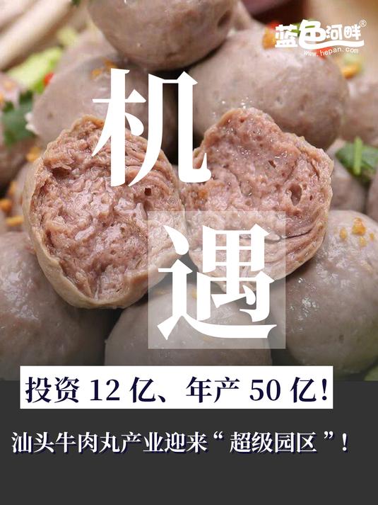 优秀!这颗汕头牛肉丸又书写新传奇!