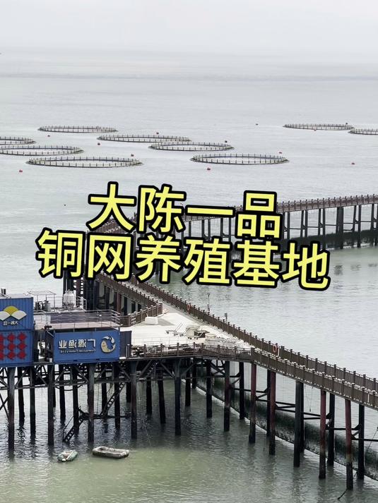 参观广源渔业的大陈岛铜网箱黄鱼养殖基地