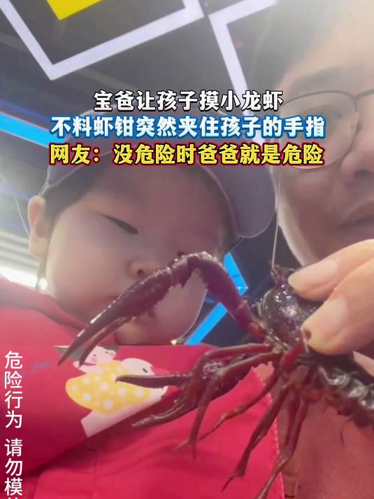宝爸让孩子摸小龙虾,不料虾钳突然夹住孩子的手指,网友:没危险时爸爸就是危险