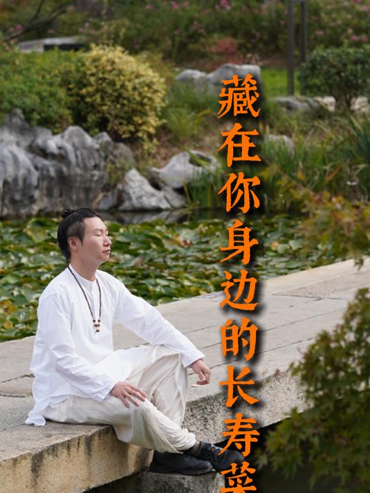 藏在你身边的长寿菜