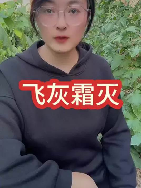 蔬菜灰霉霜霉咋防治?无激素杀菌剂,一扫光!